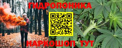 МДПВ Новозыбков