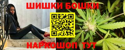 дмт Новодвинск